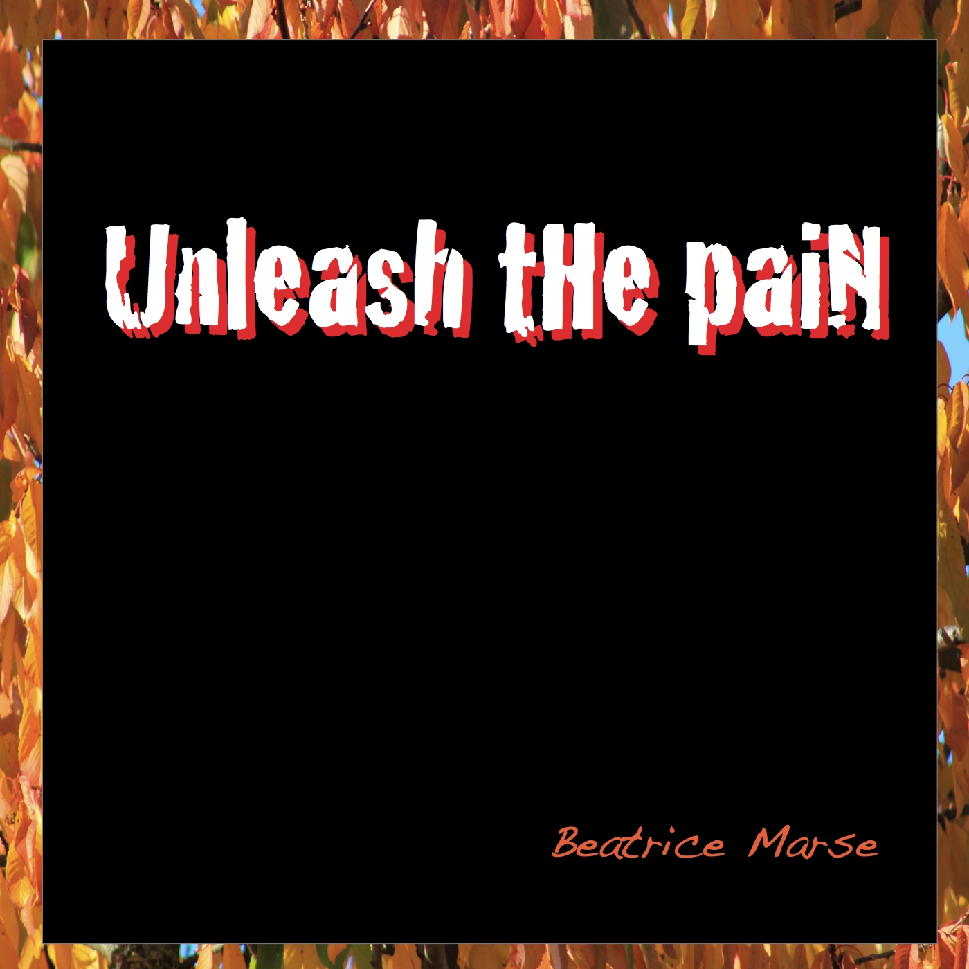 Unleash The Pain album cover 4